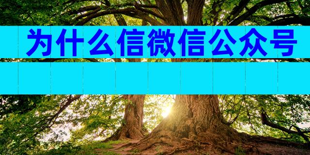 为什么信微信公众号