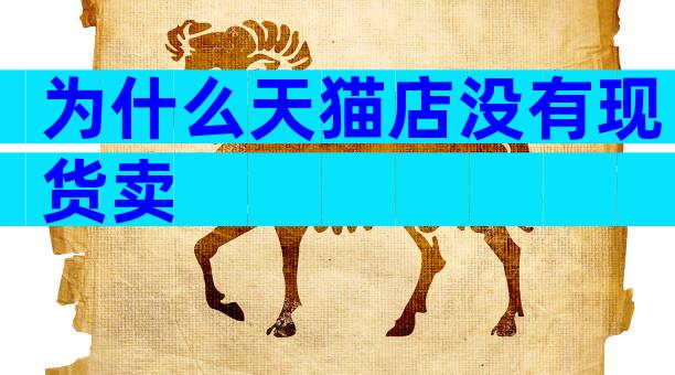 为什么天猫店没有现货卖