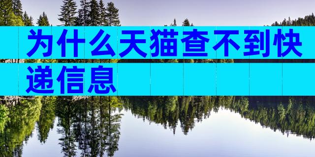 为什么天猫查不到快递信息