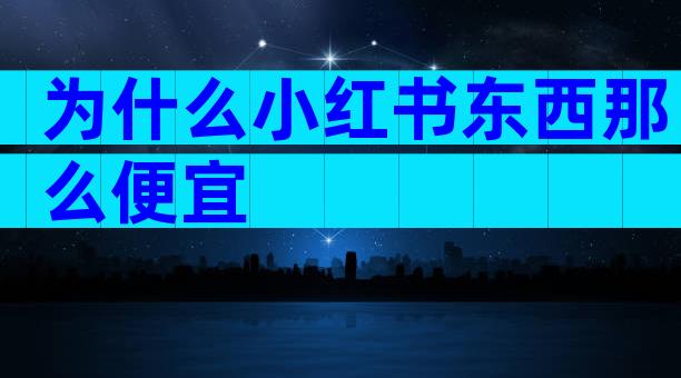 为什么小红书东西那么便宜