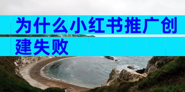 为什么小红书推广创建失败