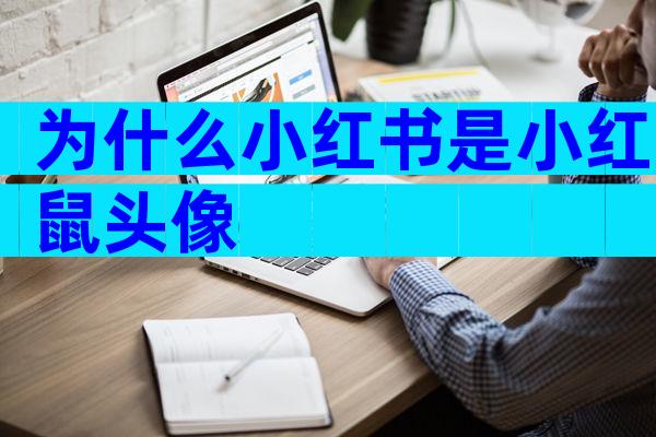 为什么小红书是小红鼠头像