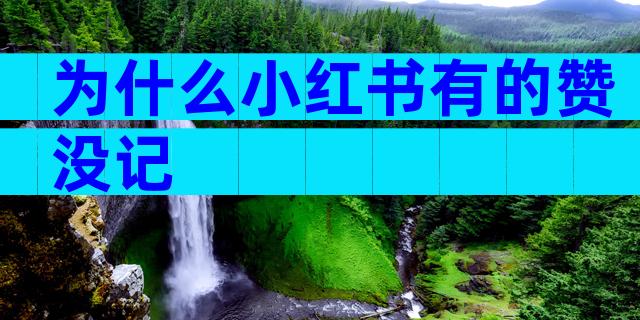 为什么小红书有的赞没记