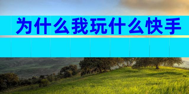 为什么我玩什么快手