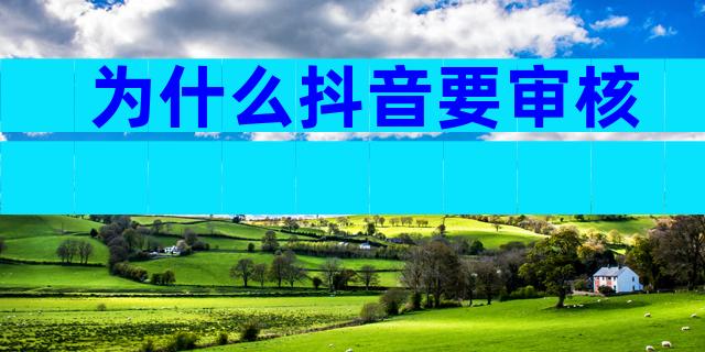 为什么抖音要审核