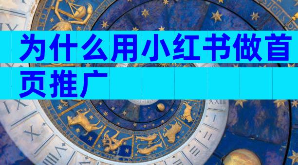 为什么用小红书做首页推广