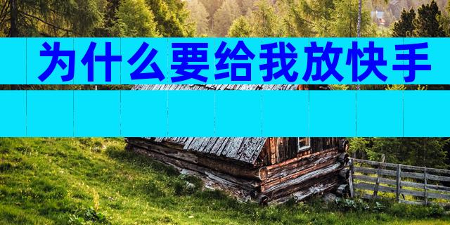 为什么要给我放快手