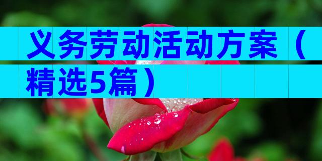义务劳动活动方案（精选5篇）