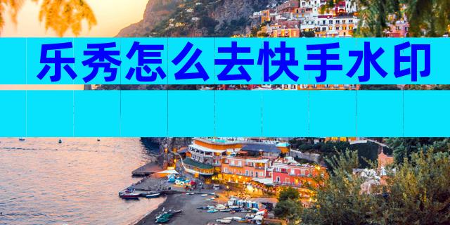 乐秀怎么去快手水印