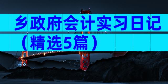 乡政府会计实习日记（精选5篇）