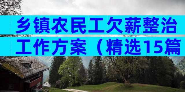 乡镇农民工欠薪整治工作方案（精选15篇）
