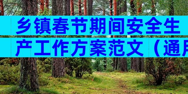 乡镇春节期间安全生产工作方案范文（通用11篇）