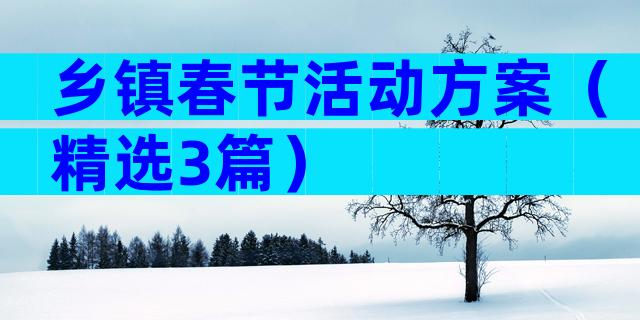 乡镇春节活动方案（精选3篇）