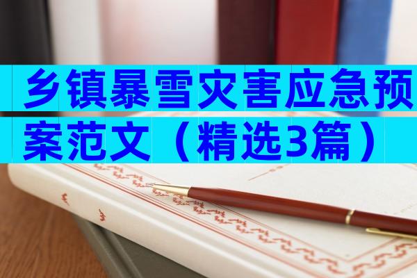 乡镇暴雪灾害应急预案范文（精选3篇）