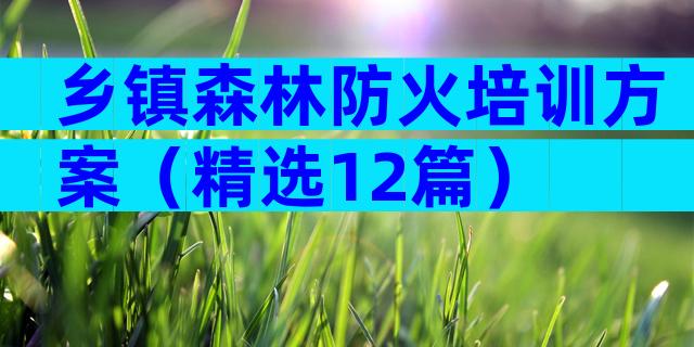 乡镇森林防火培训方案（精选12篇）