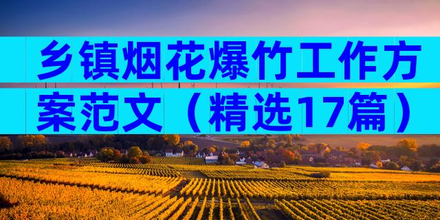 乡镇烟花爆竹工作方案范文（精选17篇）