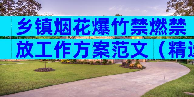 乡镇烟花爆竹禁燃禁放工作方案范文（精选17篇）