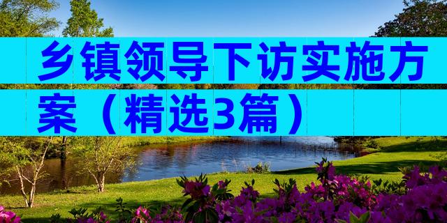 乡镇领导下访实施方案（精选3篇）