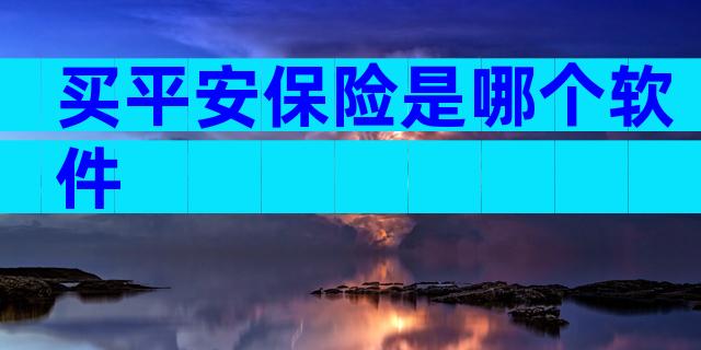 买平安保险是哪个软件