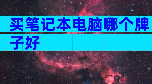 买笔记本电脑哪个牌子好