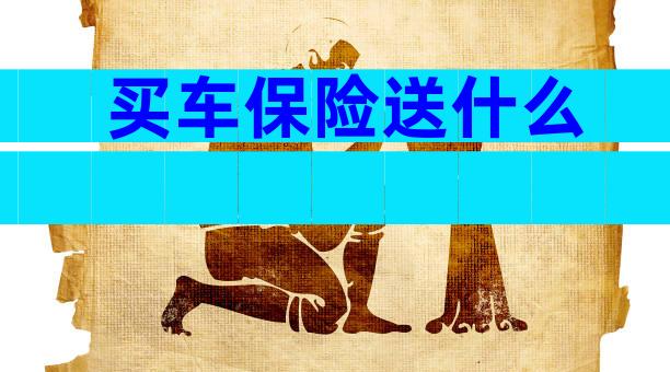 买车保险送什么