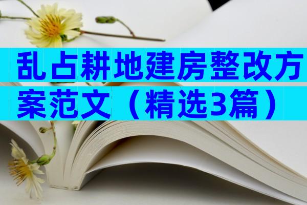 乱占耕地建房整改方案范文（精选3篇）