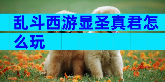 乱斗西游显圣真君怎么玩