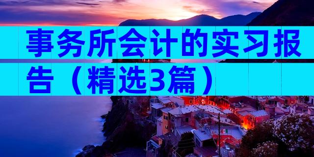 事务所会计的实习报告（精选3篇）