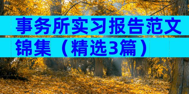 事务所实习报告范文锦集（精选3篇）
