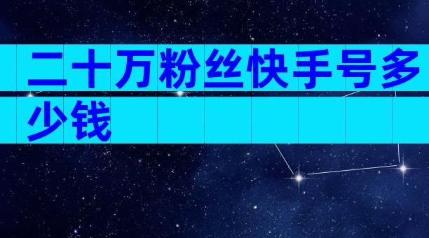 二十万粉丝快手号多少钱