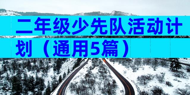 二年级少先队活动计划（通用5篇）
