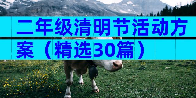 二年级清明节活动方案（精选30篇）