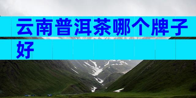 云南普洱茶哪个牌子好
