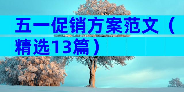 五一促销方案范文（精选13篇）