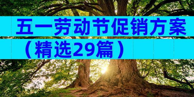 五一劳动节促销方案（精选29篇）