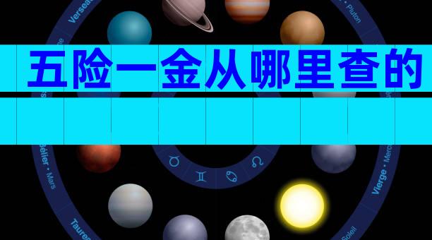 五险一金从哪里查的