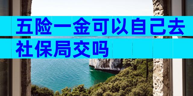 五险一金可以自己去社保局交吗