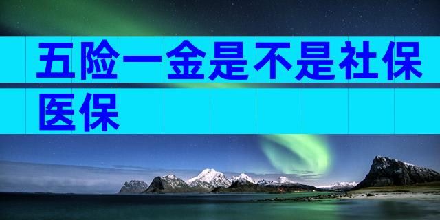 五险一金是不是社保医保
