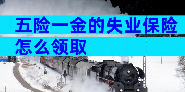 五险一金的失业保险怎么领取