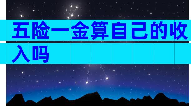 五险一金算自己的收入吗
