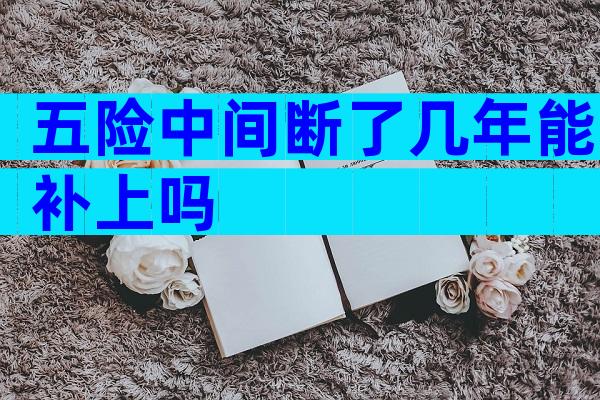 五险中间断了几年能补上吗