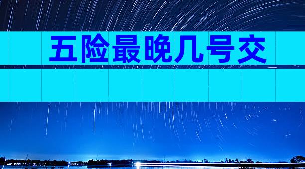 五险最晚几号交