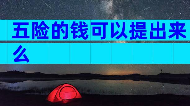 五险的钱可以提出来么