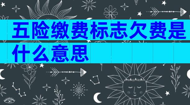 五险缴费标志欠费是什么意思
