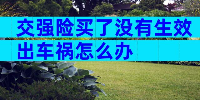 交强险买了没有生效出车祸怎么办
