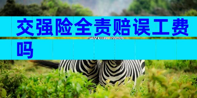 交强险全责赔误工费吗