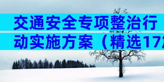交通安全专项整治行动实施方案（精选17篇）