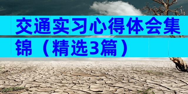 交通实习心得体会集锦（精选3篇）