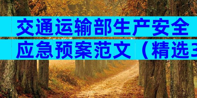 交通运输部生产安全应急预案范文（精选3篇）