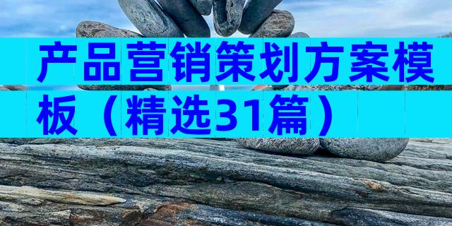 产品营销策划方案模板（精选31篇）